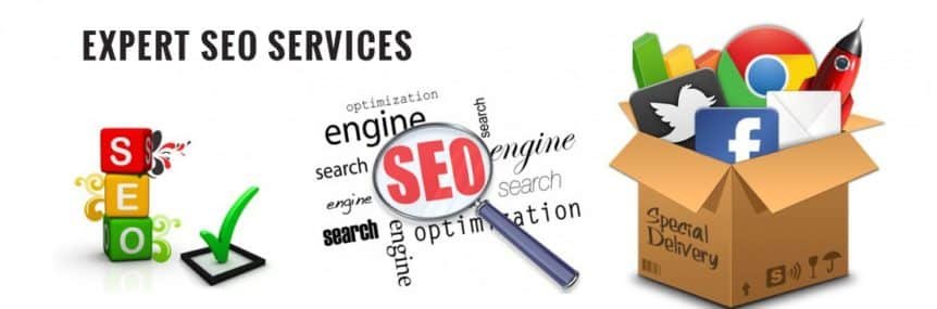 Expert SEO 1