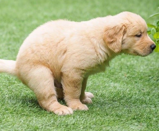 Does Google Ads work in 2021?